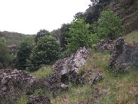 Salto_del_Cane - 20100602 043.jpg